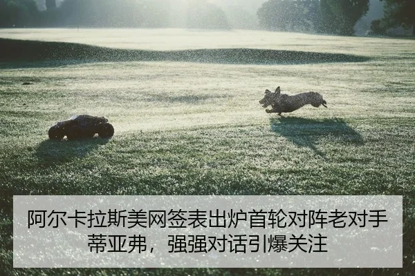 a-er-ka-la-si-mei-wang-qian-biao-chu-lu-shou-lun-dui-zhen-lao-dui-shou-di-ya-fu-qiang-qiang-dui-hua-yin-bao-guan-zhu-2-250.jpg